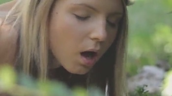 Brooklyn Bailey And Other Hot Babe Do Out Door Sucking